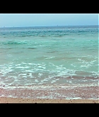 Filename=MDBR00162.jpg
Filesize=506KiB
Dimensions=1920x1080
Date added=Dec 11, 2020 MDBR00162.jpg