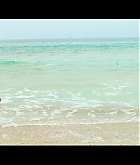 MDBR00165.jpg