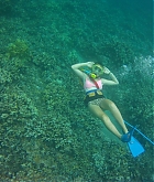 Filename=MDBR001.jpg
Filesize=273KiB
Dimensions=640x640
Date added=Dec 22, 2022 MDBR001.jpg