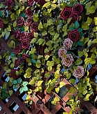 Filename=MDBR102.jpg
Filesize=1105KiB
Dimensions=1440x1795
Date added=Dec 22, 2022 MDBR102.jpg