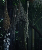 MDBR0396.jpg